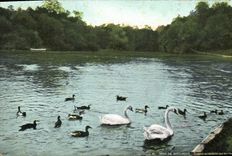 CPA Paris Eglise de la Triatte  Bois de Boulogne 