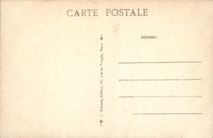 CPA Paris La Rue de Rivoil et le Jardin des Tullerles 