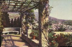CPA La Douce France Cote d'Azur Nice Alpes Maritimes Pergola de l'abbaye de Cimiez 