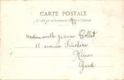 CPA Paris Jardin des Tuileries 