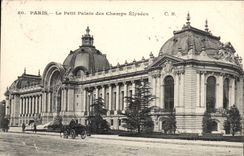 CPA Paris Le Petit Palais des Champs Elysees 