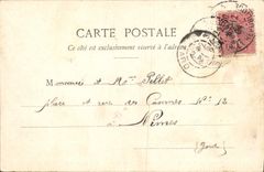 CPA Paris le Jardin des Tuileries et la Rue de Rivoli 