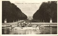 CPA Versailles Allee Royale et Bassin d'Apollon 