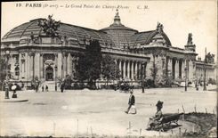CPA Paris 8e arrt le Grand Palais des Champs Elysees 