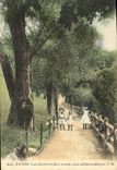CPA Paris Les Buttes Chaumont une allee rustique 