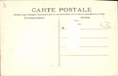 CPA Paris Les Buttes Chaumont une allee rustique 