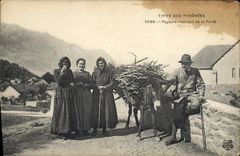 CPA Types des Pyrenees Paysane rentrant de la Foret Ane Mule