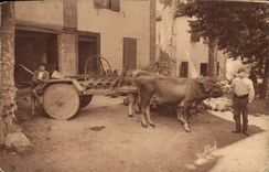 CPA Au Pays Basque Char a boeufs pour la montagne roues pleues 