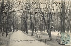 CPA Paris Le Bois de Boulogne en hiver Une Allee sous la Neige 