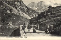 CPA Gavarnie Retour du Cirque Ane Mule