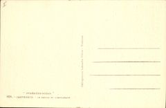 CPA Cauterets Le Casino et L'Esplanade 