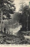 CPA Cauterets Cascade de Cerisey vue a Travers la Foret 