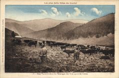 CPA Les plus Jolis Sites du Cantal Une Vacherie dans les Paturages des Montagnes du Lioran Vaches