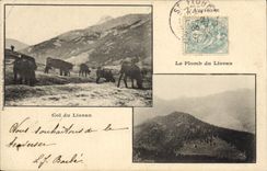 CPA L'Auvergne Le Plomb du Lioran Col du Lioran 