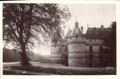CPA Chateau de Chaumont sur Loire Le Chateau au du Parc 