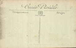 CPA Tarascon le Pont suspendu et chateau du Roi Rene 