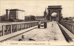 CPA Tarascon le Pont suspendu et Chateau du Roi Rene 