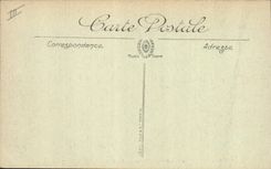 CPA Tarascon le Pont suspendu et Chateau du Roi Rene 