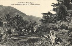 CPA Collection Artistique Monte Carlo Les Jardins 