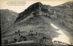 CPA l'Auvergne Pittoresque Montagnes du Cantal Une Vacherie au Col de Cabre 