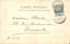 CPA Lourdes Parvis du Rosaire 