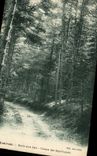 CPA La Louvesc Route sous bais Chemin don Sept Fayards 