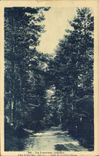 CPA La Louvesc Ardeche Allee de la petite Suisse 