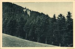 CPA La Louvesc Ardeche l'Hotel du Mont Besset dans les bois 