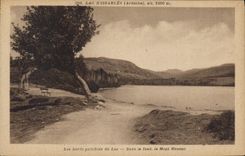 CPA Les bords paisibies duLac Dans de fond le Mont Mezeno 