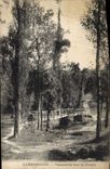 CPA Alboussuere Passerelle sur le Duzon 