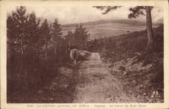 CPA La Louvesc Paysage Au retour du Mont Chaix 