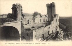 CPA Environs d'Arles Mont Major Ruines de l'Abbaye 