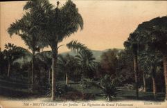 CPA Monte Carlo les jardins la Vegetation du grand Vallonnement 