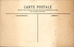 CPA Monte Carlo les jardins la Vegetation du grand Vallonnement 