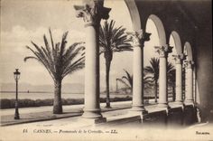 CPA Cannes Promenade de la Croisette 