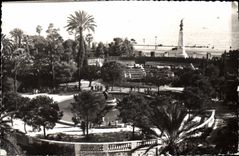 CPA Nice les Jardins Albert 1er 