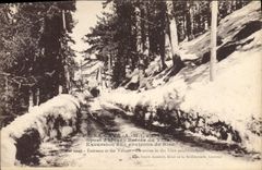 CPA Peira Cava A M Sport d'hiver entree du Village excursion aux environs de Nice 