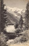 CPA Chamonix le Mont Blanc 