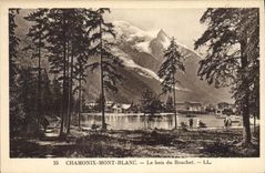 CPA Chamonix Mont Blanc le Bois du Bouchet 