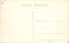 CPA Chamonix l'Arve et le Mont Blanc 