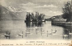 CPA Annecy l'Ile des Cygnes 