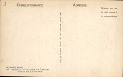 CPA Annecy Colline de Tresun Foret de la Jeanne 