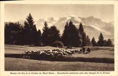 CPA Servoz H S et la Chaine du Mont Blanc Symphonie pastorale pres des Gorges de la Diosaz Moutons