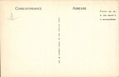 CPA Chamonix Vue generale Le Mont Blanc et l'Aiguille du Midi 