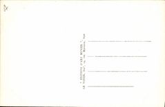 CPA Nice Jardin Albert 1er