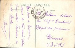 CPA Nice Allee de Palmiers au Chateau 