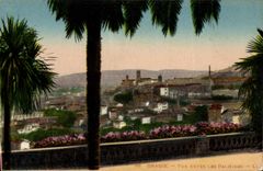 CPA Grasse Vue entre les Palmiers 