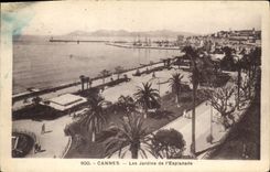 CPA Cannes Les Jardins de l'Esplanade 