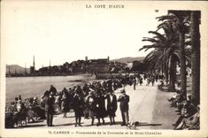 CPA Cannes Promenade de la Croisette et le Mont Chevalier 
