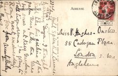 CPA Cannes Palmiers du Grand Hotel de la Californie 